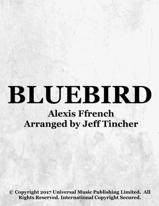 Book cover for Bluebird