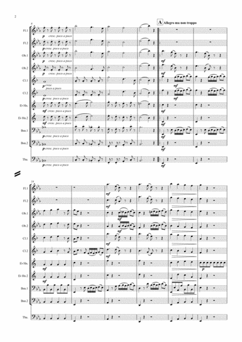 Divertimento No.1 in Eb major “Eine Kleine Tyne Musik”- symphonic wind image number null