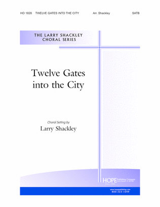 Book cover for Twelve Gates into the City