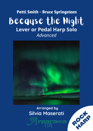 Book cover for Because The Night