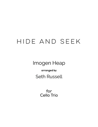 Book cover for Hide And Seek