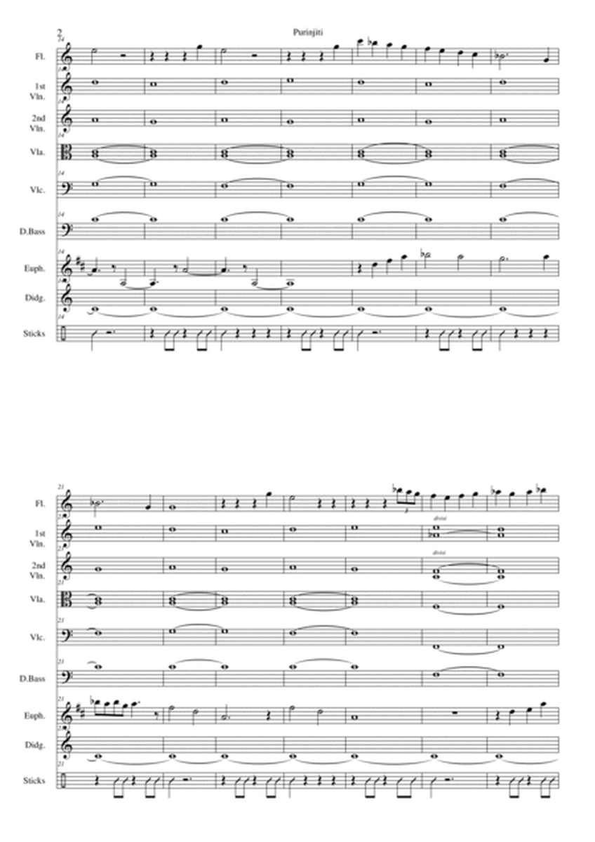 Purinjiti for flute, euphonium, strings, digeridoo and sticks image number null