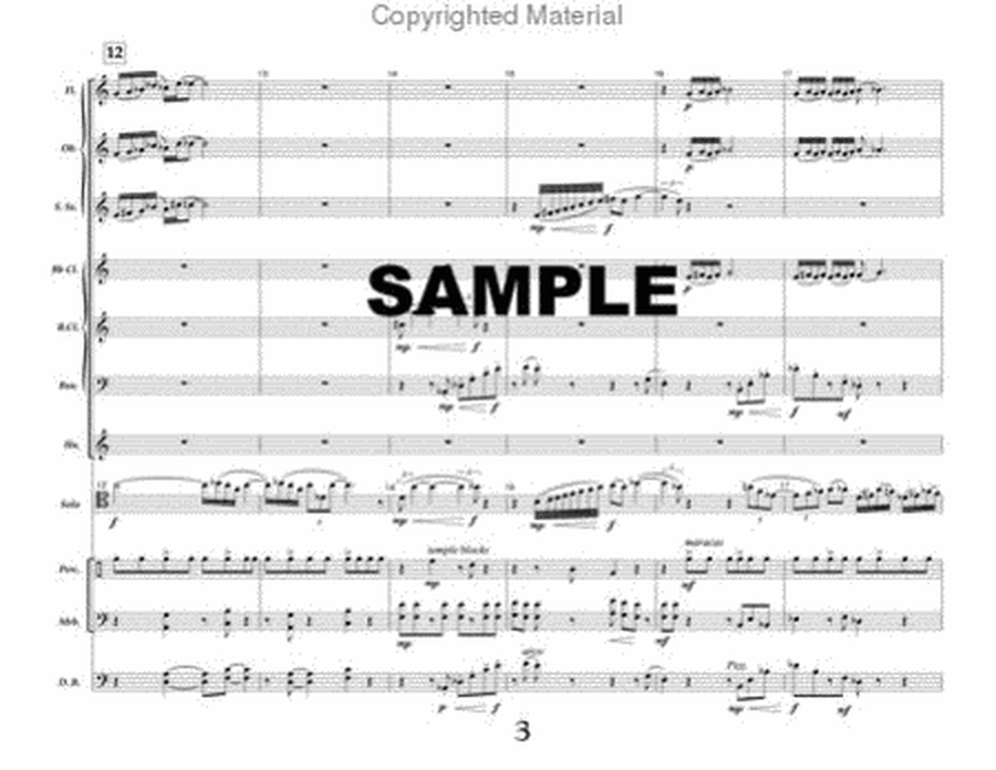 Chamber Symphony No. 2 for Bassoon