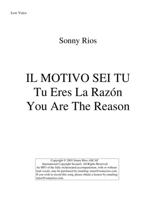 Book cover for IL MOTIVO SEI TU