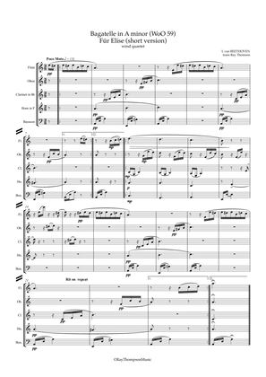 Book cover for Beethoven: Bagatelle in A minor WoO 59 “Für Elise" (Short version) - wind quartet