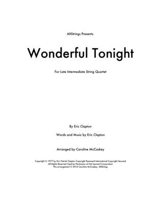 Book cover for Wonderful Tonight