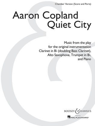 Book cover for Quiet City