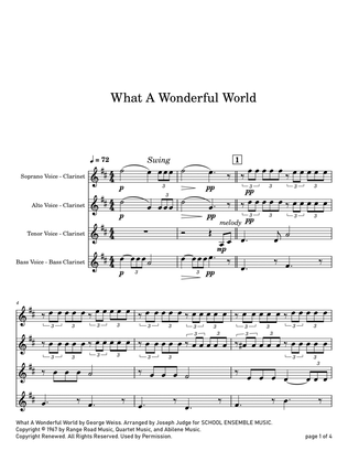 Book cover for What A Wonderful World