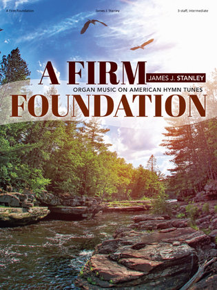 Book cover for A Firm Foundation