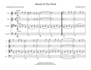 Book cover for Blowin' In The Wind