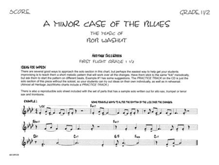 Book cover for A Minor Case Of The Blues