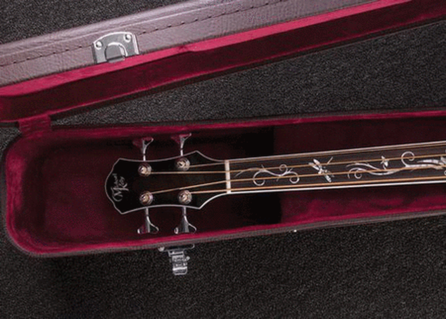 Acoustic Bass Guitar Hard Case