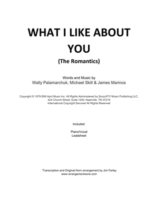 Book cover for What I Like About You