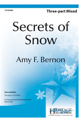 Book cover for Secrets of Snow