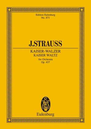 Book cover for Kaiser Waltz