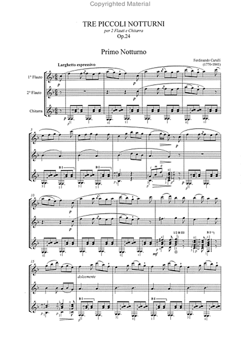 Tre Piccoli Notturni Op. 24