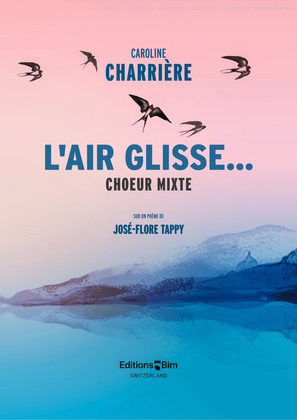 Book cover for L’air glisse...