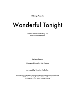 Book cover for Wonderful Tonight