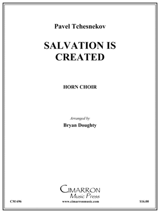 Book cover for Salvation is Created