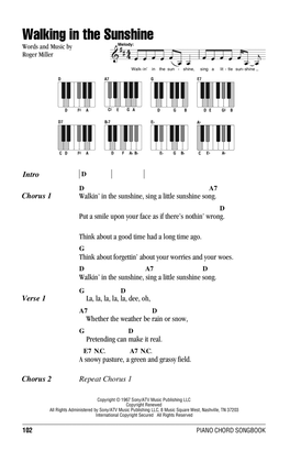 Book cover for Walking In The Sunshine