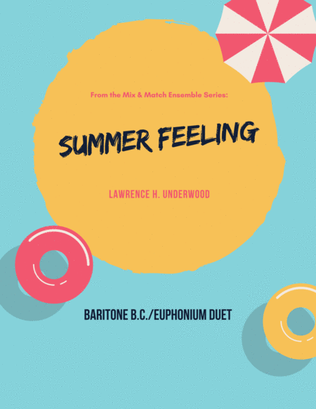 Book cover for Summer Feeling