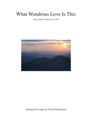 Book cover for What Wondrous Love Is This