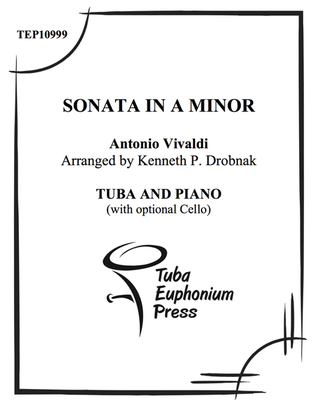 Book cover for Sonata in a Minor