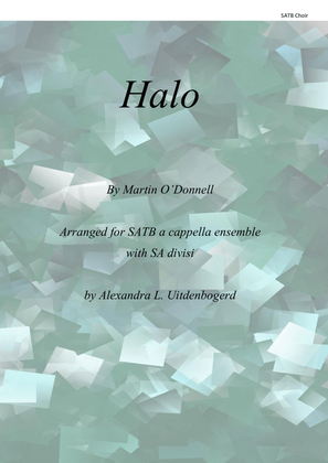 Book cover for Halo