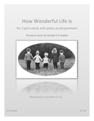 Book cover for How Wonderful Life Is