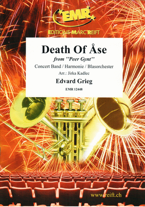 Book cover for Death Of Ase