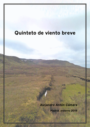 Quinteto de viento breve / Brief woodwind quintet