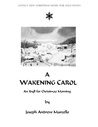 Book cover for A Wakening Carol
