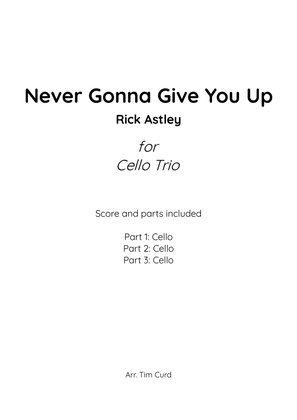 Book cover for Never Gonna Give You Up