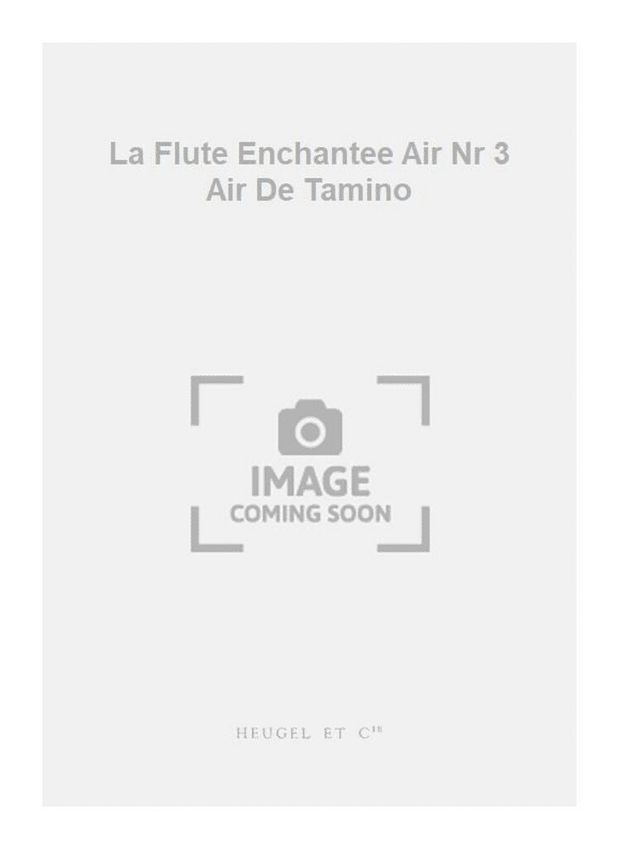 La Flute Enchantee Air Nr 3 Air De Tamino