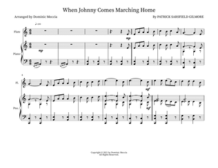 Book cover for When Johnny Comes Marching Home