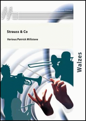 Book cover for Strauss & Co