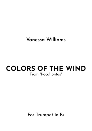 Book cover for Colors Of The Wind