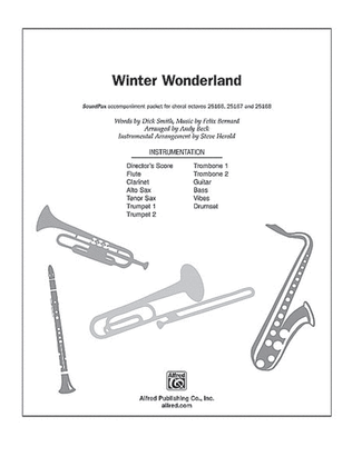 Book cover for Winter Wonderland