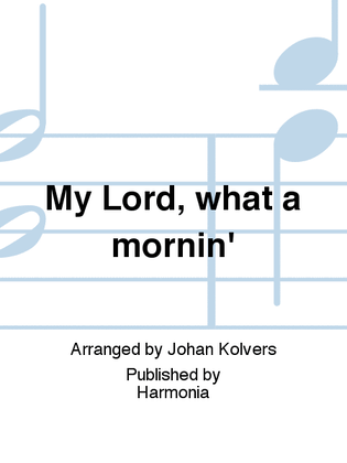 Book cover for My Lord, what a mornin'
