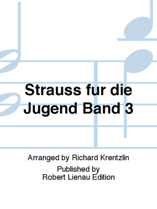 Book cover for Strauß für die Jugend Band 3