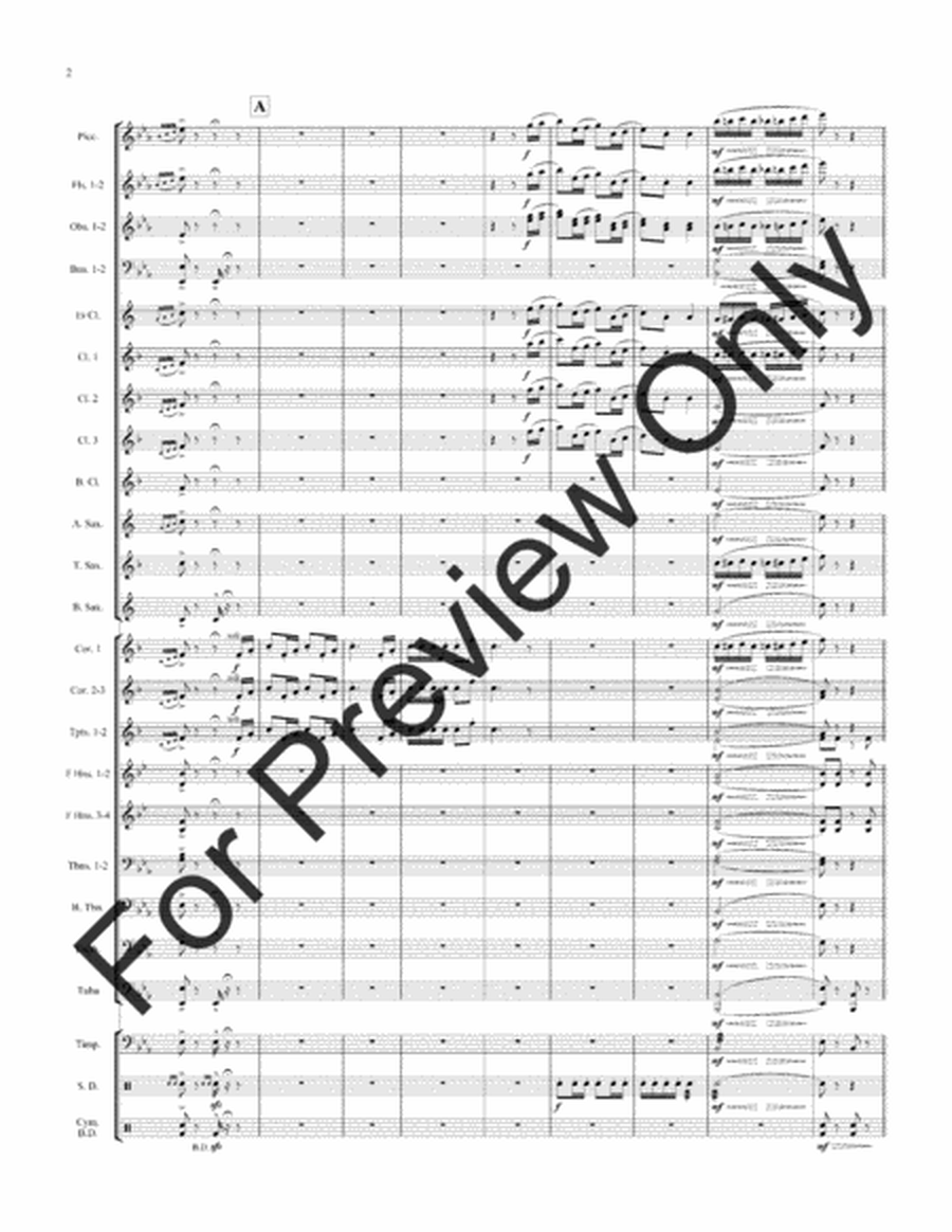 Florentiner March - Full Score image number null