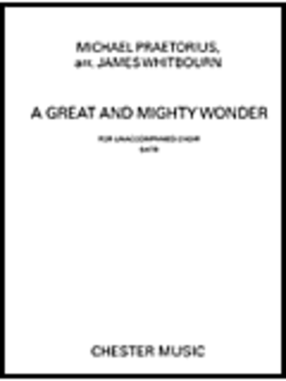 Book cover for A Great and Mighty Wonder