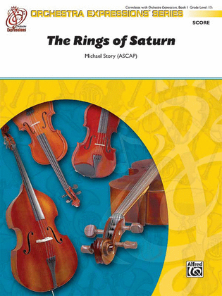 Book cover for The Rings of Saturn