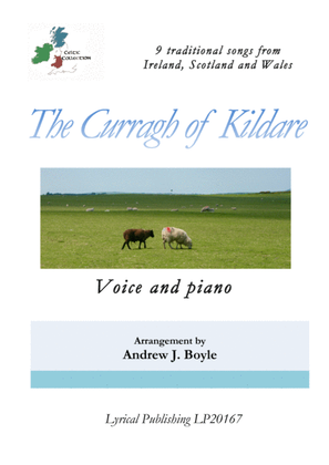 The Curragh of Kildare