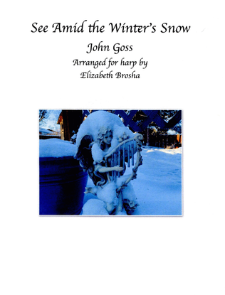 Book cover for See Amid the Winter's Snow