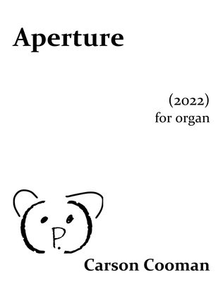 Book cover for Aperture