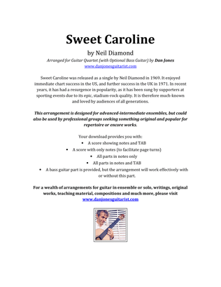 Book cover for Sweet Caroline