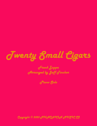 Book cover for Twenty Small Cigars