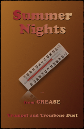 Book cover for Summer Nights