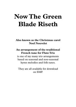 Book cover for Now The Green Blade Riseth, for Flute Trio